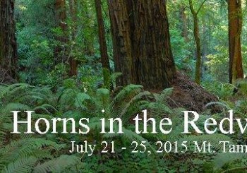 Horns in the Redwoods 2015